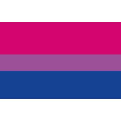 The bisexual flag which is made up of the colours pink, purple and blue stripes